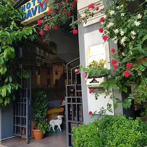 3* Otel David - Ethno Style