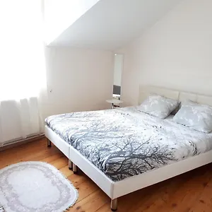  Апартаменты Karin House
